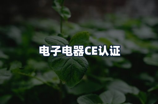 电子电器CE认证